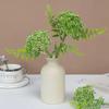 3PCS Plastic Artificial Oat Fruit Green Colorr Faux Oat Stems Green Plastic Flowers  Wedding Floral