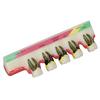 Dental Teeth Model Ceramic Clear Structure Oral Care Educational Periodontal Disease Model