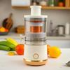 Portable Multi-Function Mini Juicer with Separation Feature