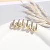 1 Set   Metal Circle Drop Small Earrings For Women Trend Pendant Piercing Earrings Set Jewelry Gifts
