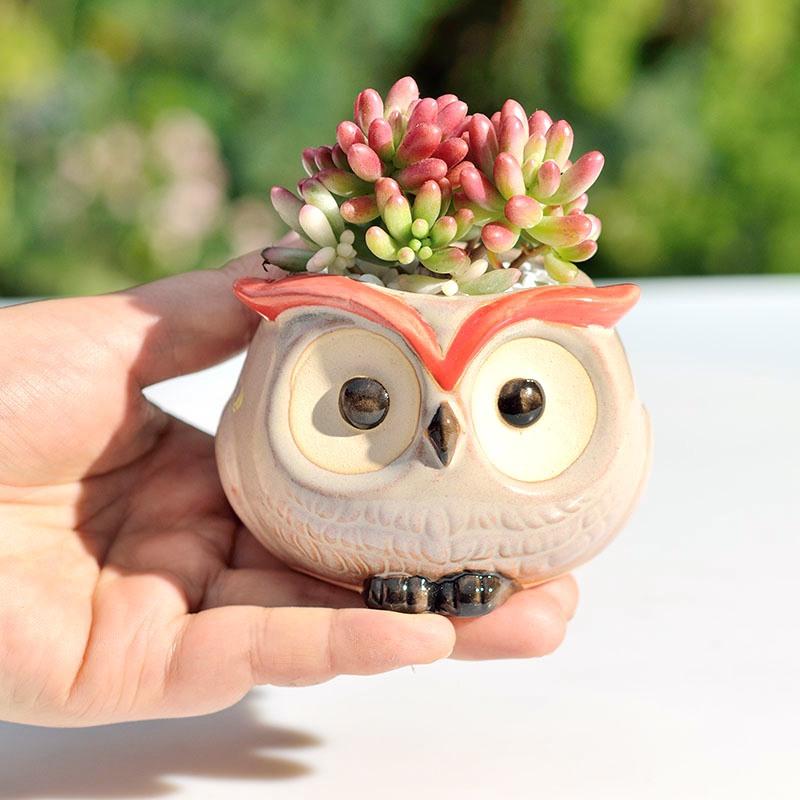 Nordic Garden Supplies Decoration Creative Succulent Owl Flower Pot Pastoral Cute Animals European Style Household flowerpot