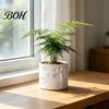 Small Plant Pot 3D Printed Cat Paw Print Flower Pot, Cute for Indoor Desktop Flowerpot Desk, Animal Theme Planter Home Office, Gift Lovers