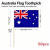 Multinational Flag Toothpick Food Decor Pack For Fruit Garnishes And Cocktails