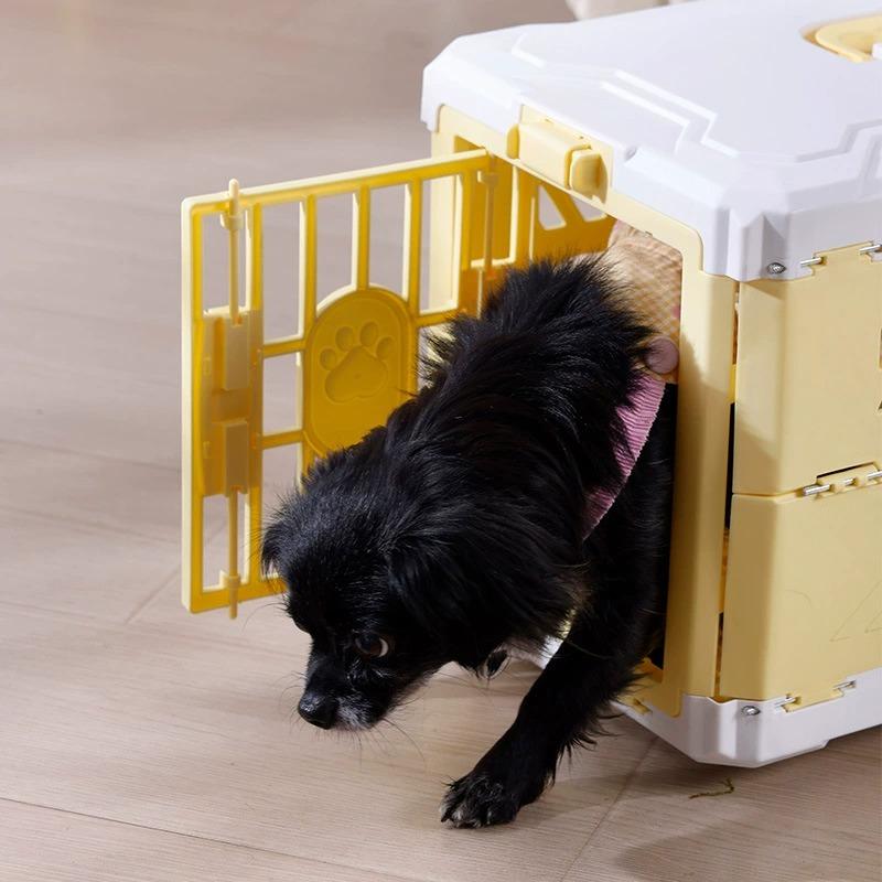 Transportín plegable para mascotas, bolsa de viaje portátil para perros y gatos, caja de transporte
