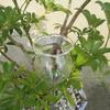 Automatic Plant Watering Bulbs Glass Watering Device Bird Cat Pig Flower Swan Watering Globe Garden Plant Drip Irrigation System
