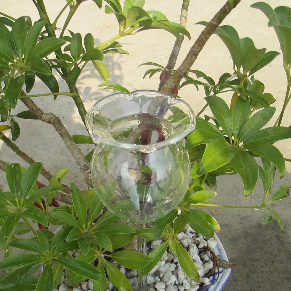 Automatic Plant Watering Bulbs Glass Watering Device Bird Cat Pig Flower Swan Watering Globe Garden Plant Drip Irrigation System