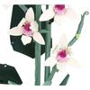Flower Orchid in a Pot Construction Blocks Flower to be assembled 728 pcs.