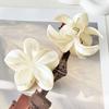 Acrylic Frangipani Flower Hair Claws Hair Accessories Hairpin Sweet Hair Gripper  Daily