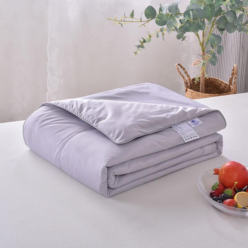 Ice Silk Summer Quilt