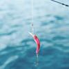 Lifelike Hard Lure Minnow Bait with Hook Fishing Crankbait Wobbler Tackle Accessory (D)