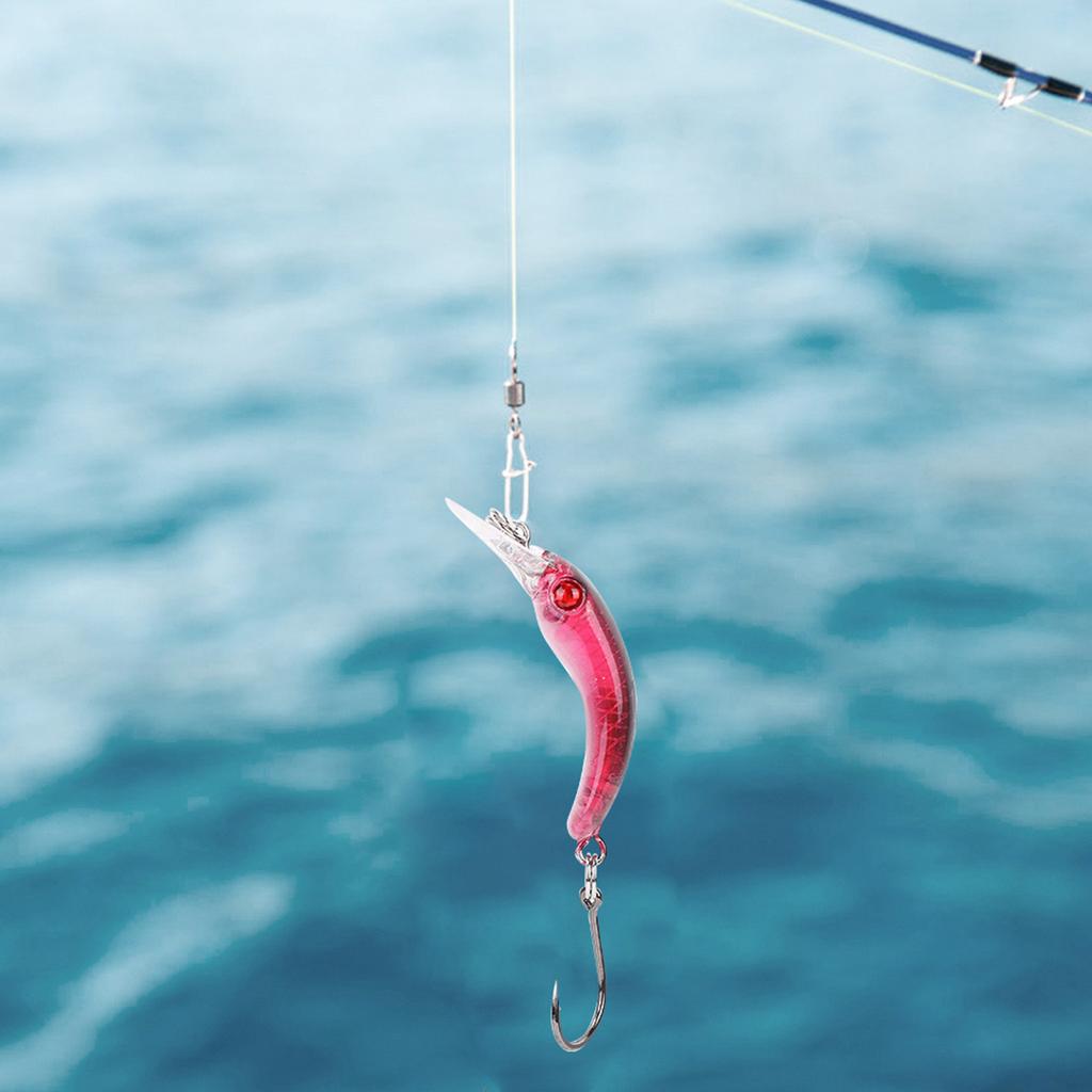 Lifelike Hard Lure Minnow Bait with Hook Fishing Crankbait Wobbler Tackle Accessory (D)