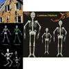 Spooky Luminous Skeleton For Halloween Décor