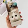 För Xiaomi Poco X3 Pro Fodral Ny Mode Målat Skydd Genomskinligt Silikon Mjukt TPU Telefonfodral För Xiaomi Poco X3 NFC PocoX3 Pro Skal