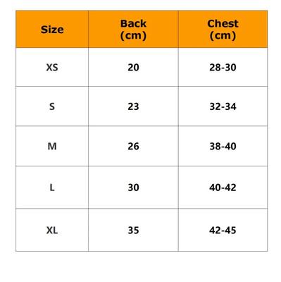 Cat Dress Summer Dog Clothes Chihuahua Puppy Costume Pomeranian Shih Tzu Maltese Small Dog Clothing Pet Apparel Dresses Dropship