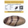 Shivling Narmadeshwar Certificado Original | Shiv Linga de 3,81 CM para Puja, Escritório em Casa, Vastu, Pedra Natural do Rio Narmada