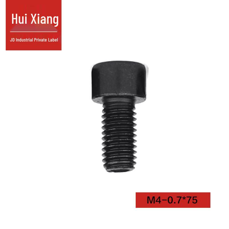 Huixiang 12.9 Grade Blackened DIN912 Hex Socket Cap Screw