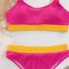 2021 New European & American Ribbed Solid Color Women's Bikini Swimwear B169