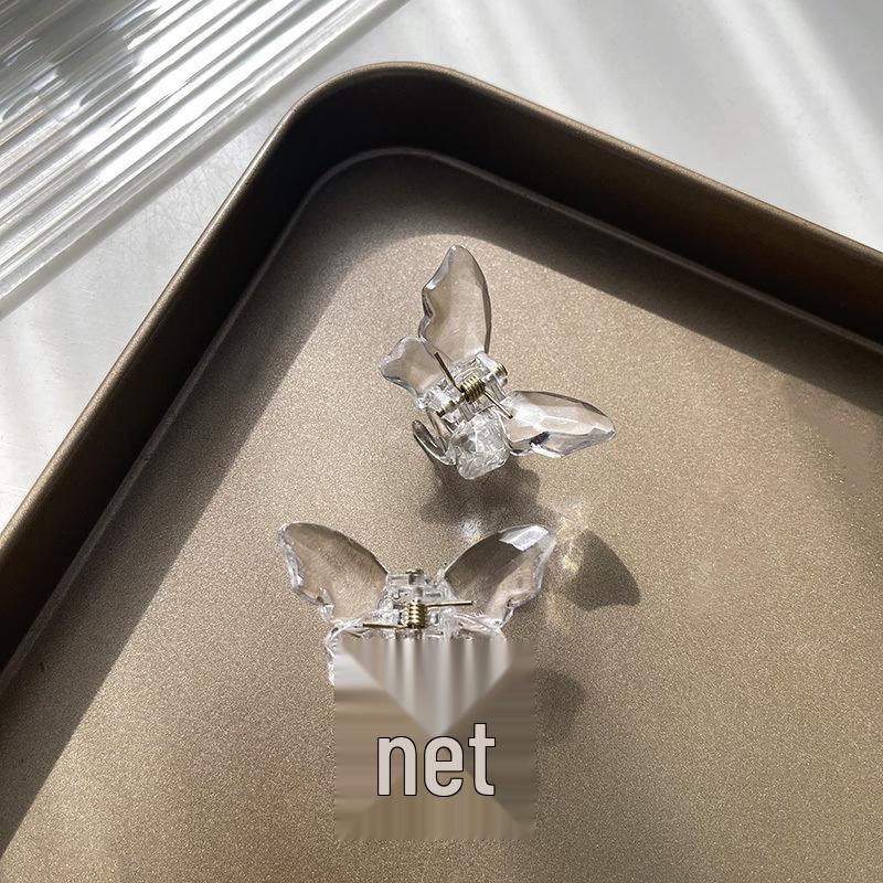 Fairy Transparent Butterfly Hair Clip: Frosted Shark Claw for Half-Tied Summer Styles