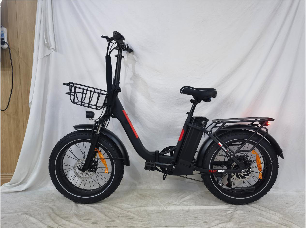 Ebike BLJ DZ-2030 500W motor electric