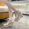 Fashion Wedge With Platform Waterproof Round Toe Tip Ladies Shoes Designer 2025 Trending Wholesale Vip Super-high Heel Women's Sandals