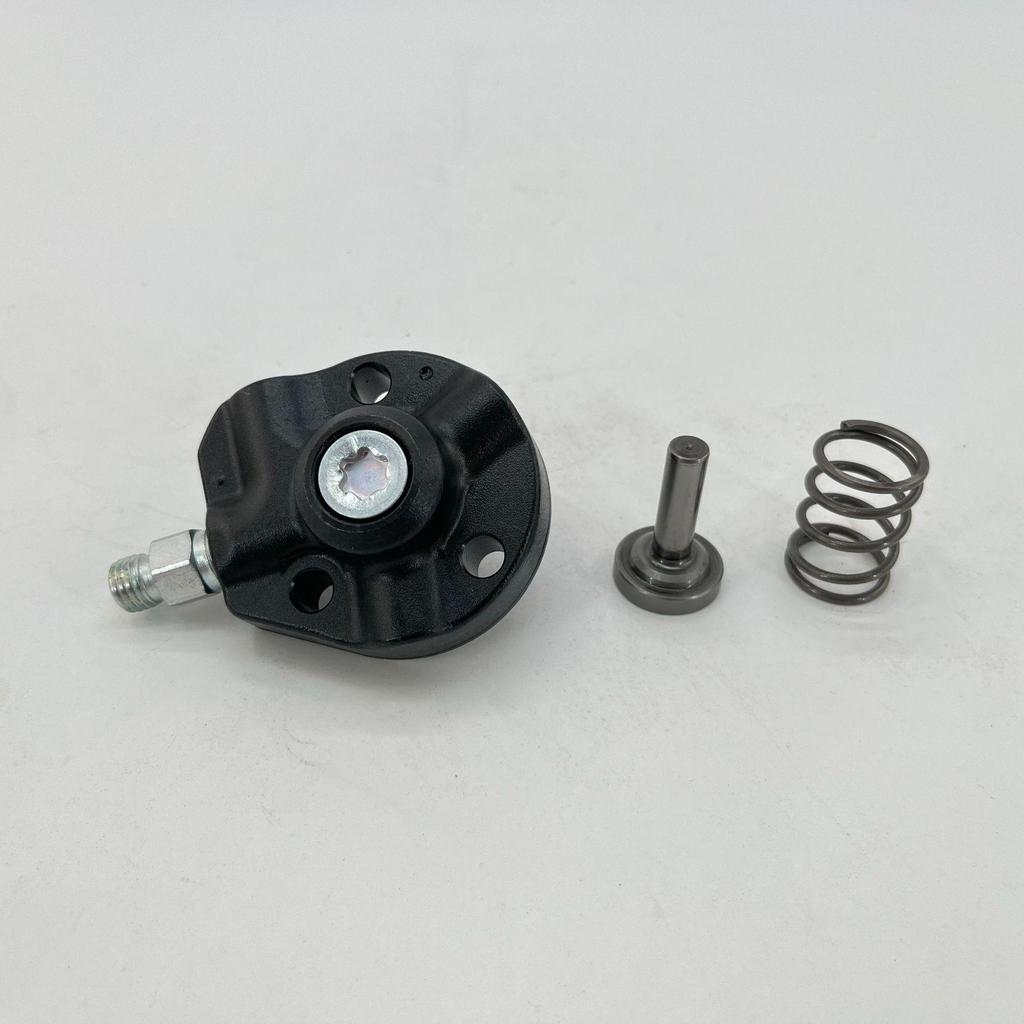 High-Quality C 294090-2040 Oil Pump Plunger for HP3 High-Pressure Pump 294000-138