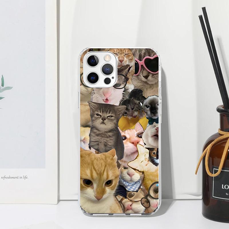Crying Cat Memes Phone Case For Iphone 17 Air 16 15 Plus 16E 14 Pro Max 13 Mini 12 11 7 8 SE Fundas Soft Back Cover 17 Air 16 15