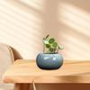 Decorațiuni pentru casă – Ghivece de flori decorative