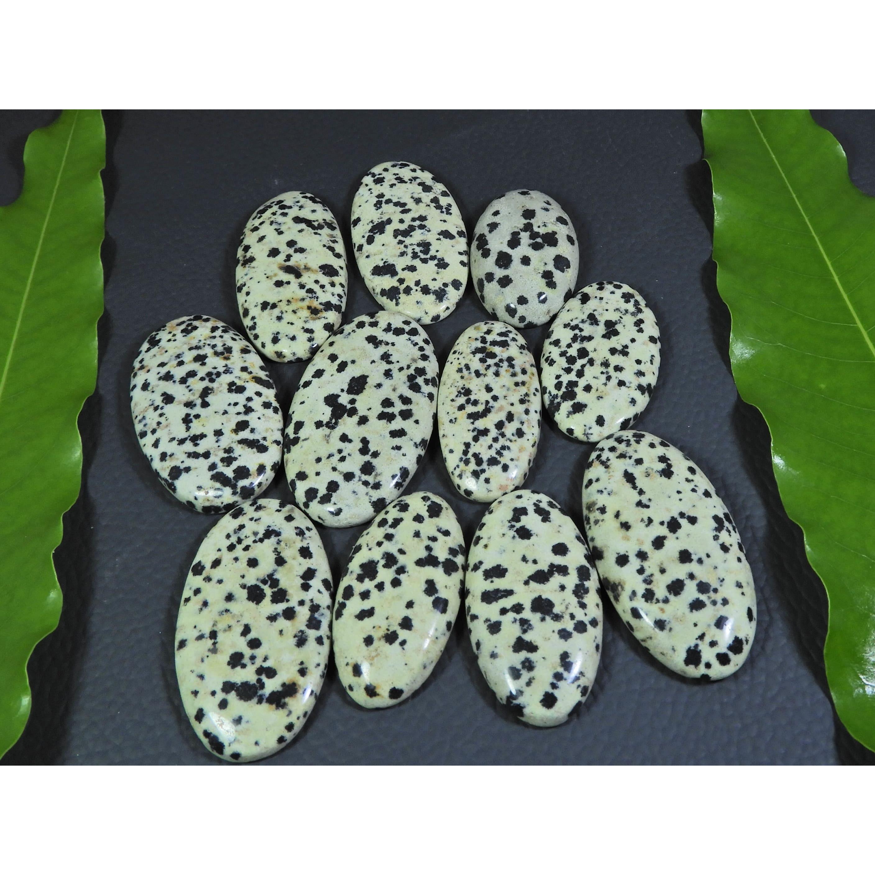 

404Cts. Natural Dalmation Jasper Oval Cabochon Loose Gemstone 11 Pcs Lot A-373