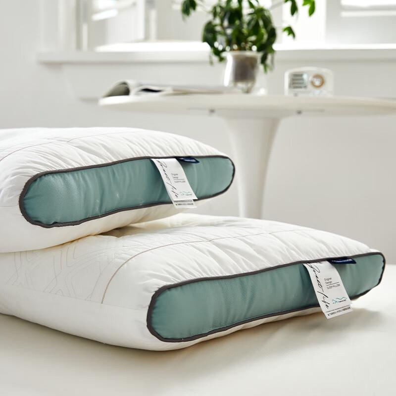 Woody Woodpecker Buckwheat Sleep Aid Pillow