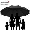 Paradise 10-Rib Windproof Large Folding Umbrella