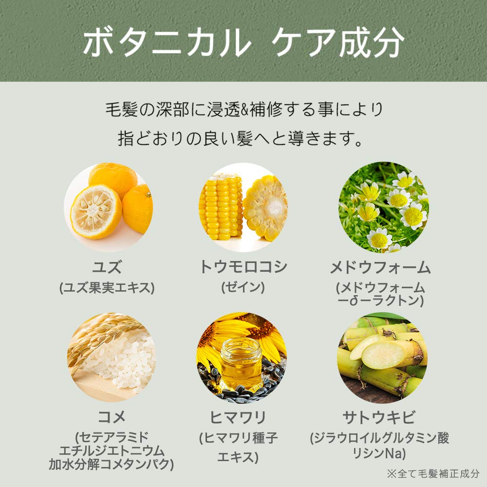 BOTANIST Botanical Damage Care Treatment 490g