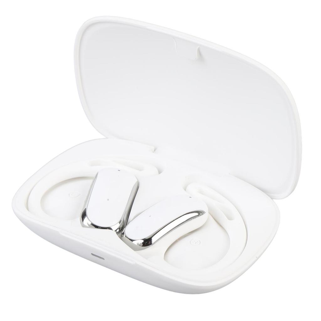 Translation Earphone 142 Languages Real Time Translator Earbuds for Travel Business Negotiation