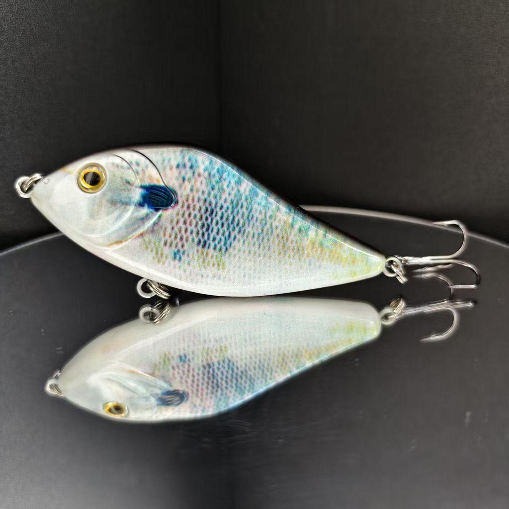 10cm 45g Sinking Pike Jerkbait – The Ultimate Predator Lure,Suitable for Both Saltwater and Freshwater