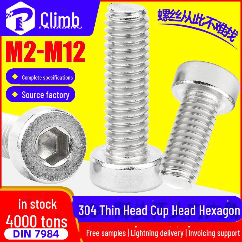 304 Stainless Steel Thin Head Hex Socket Cap Screw Bolt - M3 M4 M5 M6