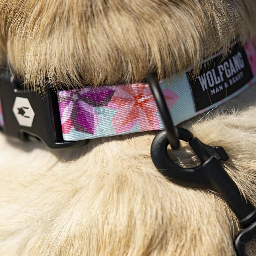 WOLFGANG SandFlats Leash (S size) 1.6cm wide x 122cm long [Leash for small dogs]