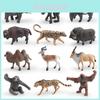 Childrens Wild Asian Elephants Sloths Musk Oxen Tapirs Animal Pvc Figurine Set With Realistic Details For Educational Play