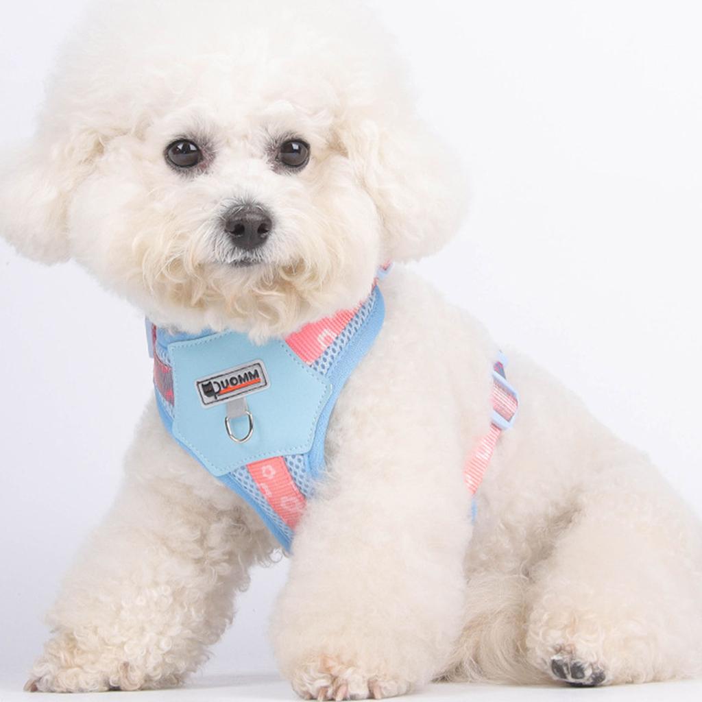 Bright Color Dog Harness Vest for Small Dogs Adjustable Design with Breathable Nylon Fabric for Comfortable Walking Use