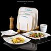 Melamine Square Imitation Porcelain Plate for Hot Pot & Cold Dishes - Commercial Fast Food & Restaurant Tableware