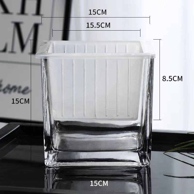 Hydroponic Glass Cylinder Vase for Pothos & Peace Lily - Transparent Water Culture Container with Free Shipping.