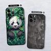 Bamboo Forest Panda Funda Phone Cover Phone Case for Apple iPhone 17 Pro Max 14 15 Pro 7 8 13 17e XR XS MAX Air 11 12 16