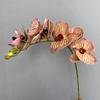 Künstlicher Schmetterlingsorchideen-Zweig mit Real-Touch-Kunstblume Hoteldekoration Silikon-Baumwolle Phalaenopsis Simulationsblumen
