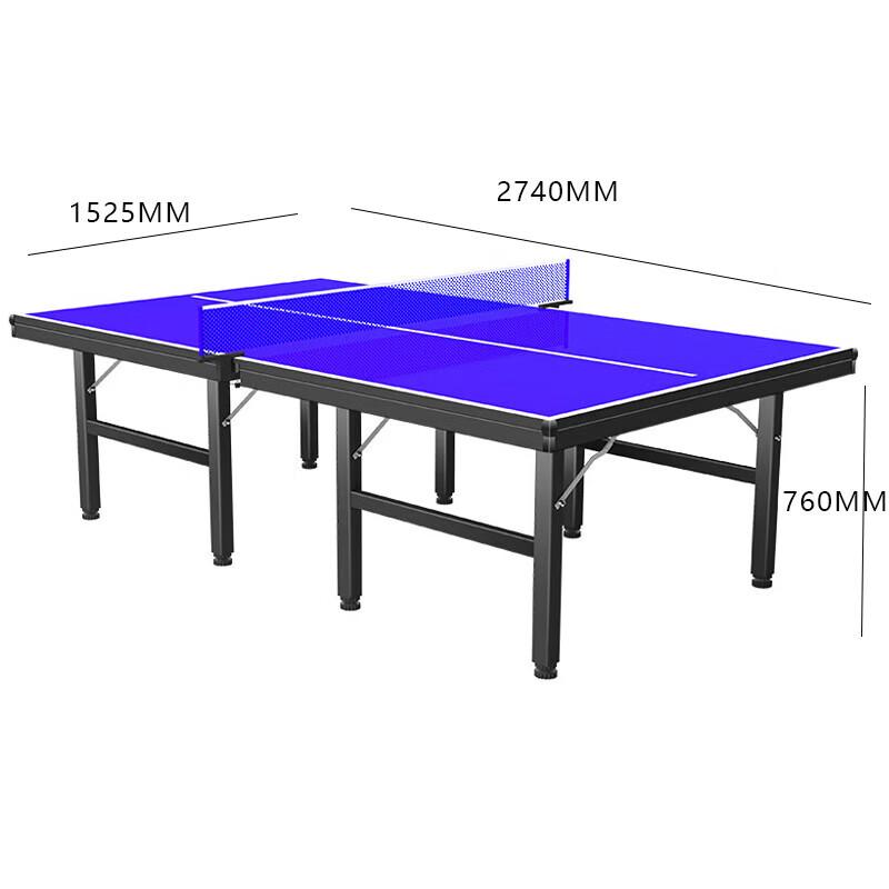 QixinYue Professional Indoor Table Tennis Table