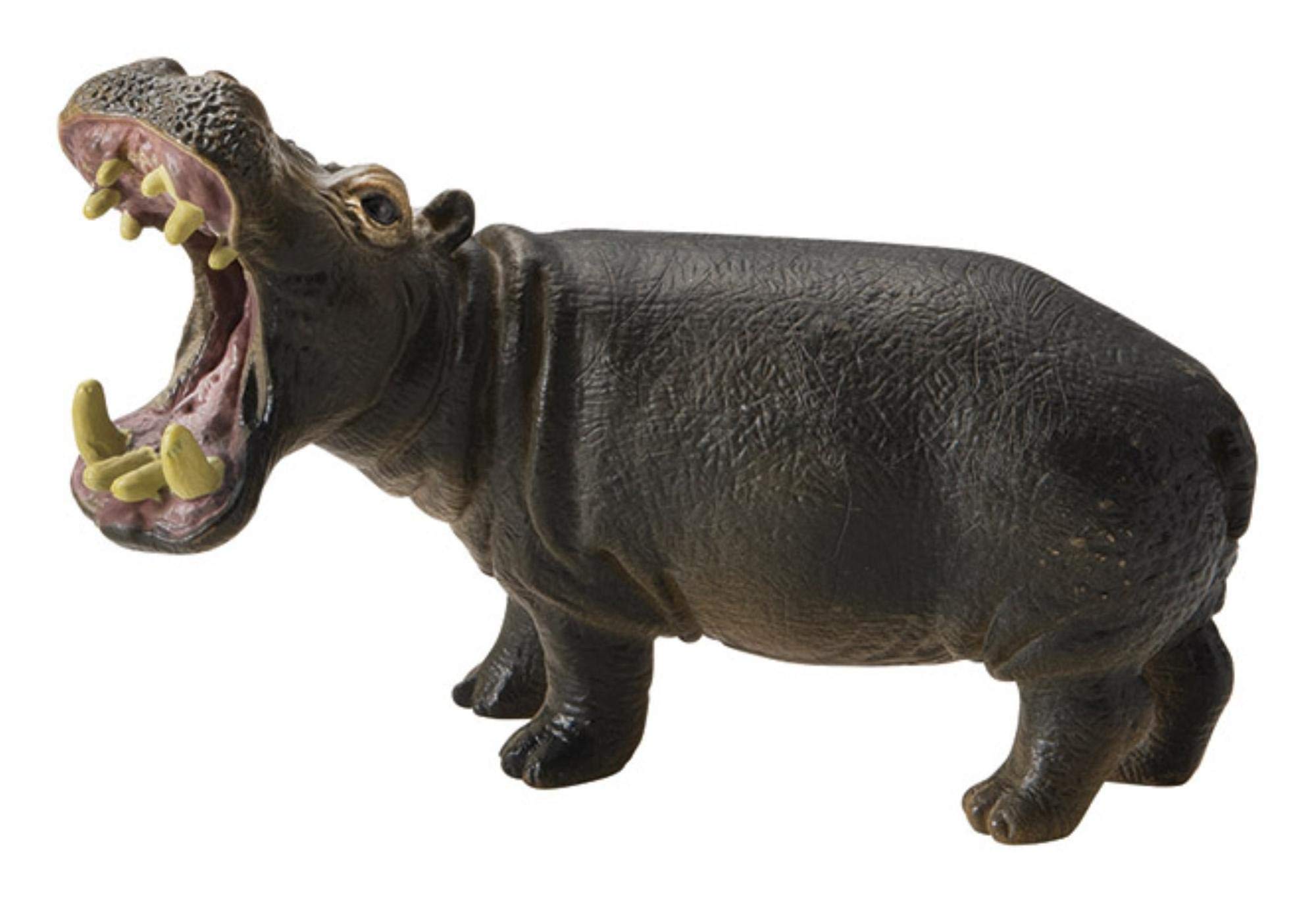 

Matsuno Hobby Realistic Animal Figurine, Miniature Hippopotamus (Large), H7 x W10 x D5cm (Gardening & Interior Decor Series) MB-8549