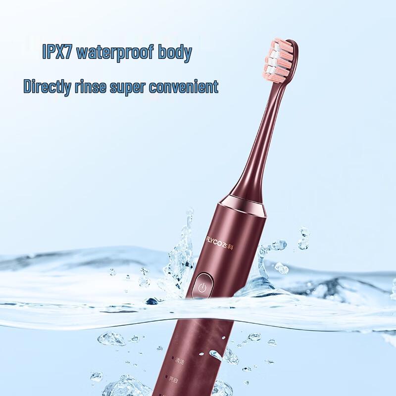 FLYCO FT7205 Smart Sonic Electric Toothbrush