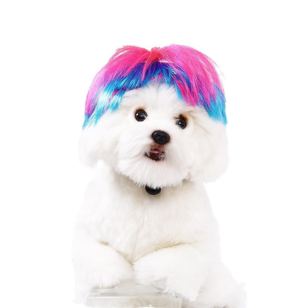 Adorable Pink Blue Shaggy Pet Wig For Halloween Festivities And Costume Parties