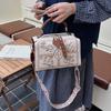 2025 new printing clear texture high leisure trend simple temperament messenger bag handbag pillow bag
