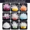 Crystal Growing Model, Science Kit, A Variety Of Colors Of Crystal Selection, Educational Toys, Gifts For Boys And Girls