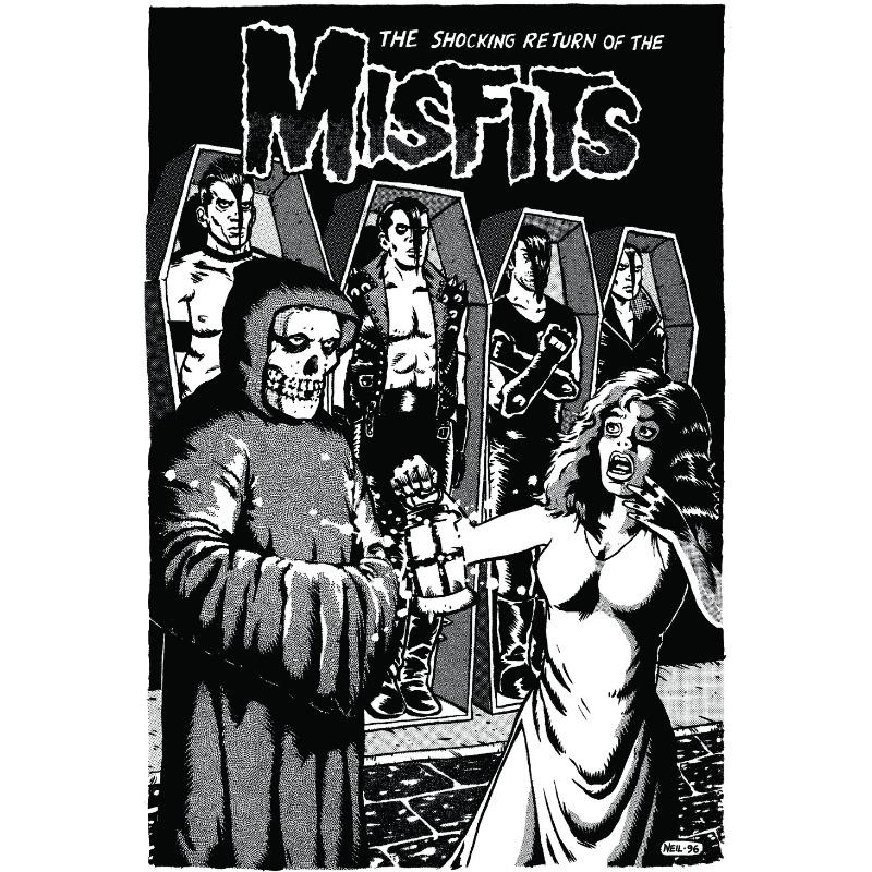 Vintage Hardcore Horror Punk The Misfits Live Photo Music Concert Art Poster Canvas Painting Wall Prints Picture Room Home Decor