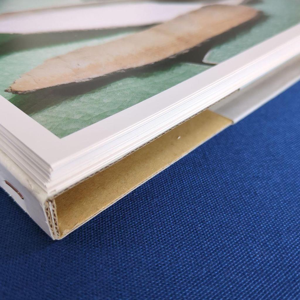 [USED] Catalog of Machiko Ogawa's Works: Newborn Vessels (2011, Toyota Municipal Museum of Art)