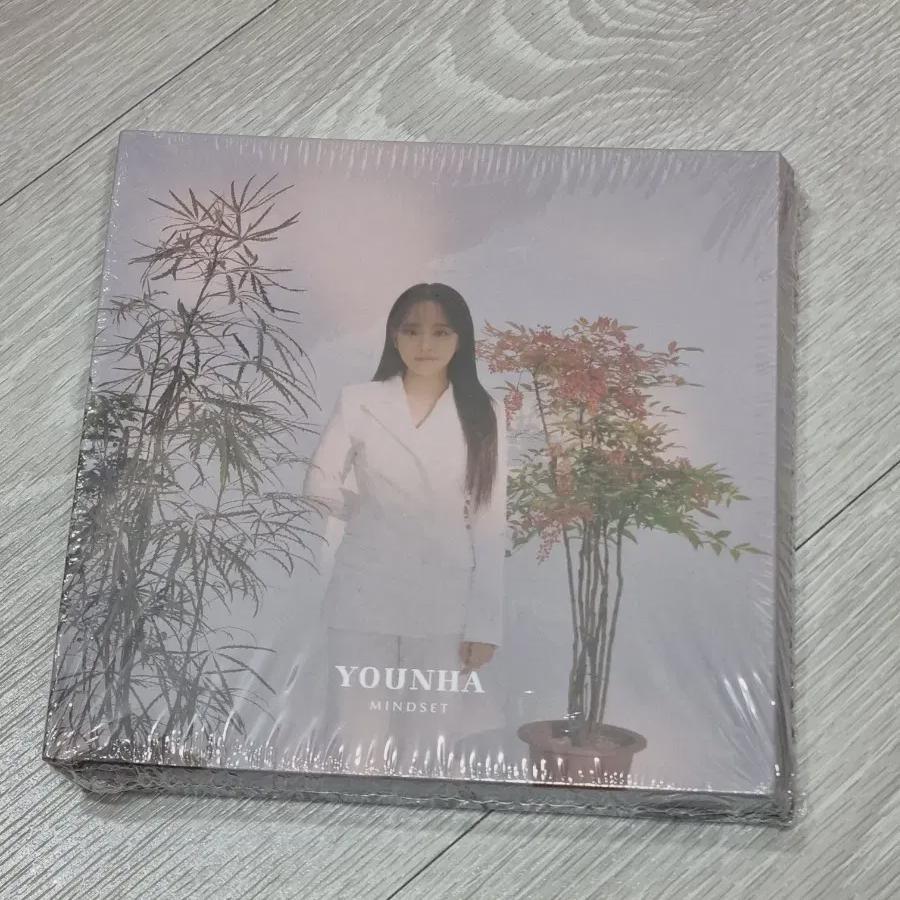

Yunha Mindset